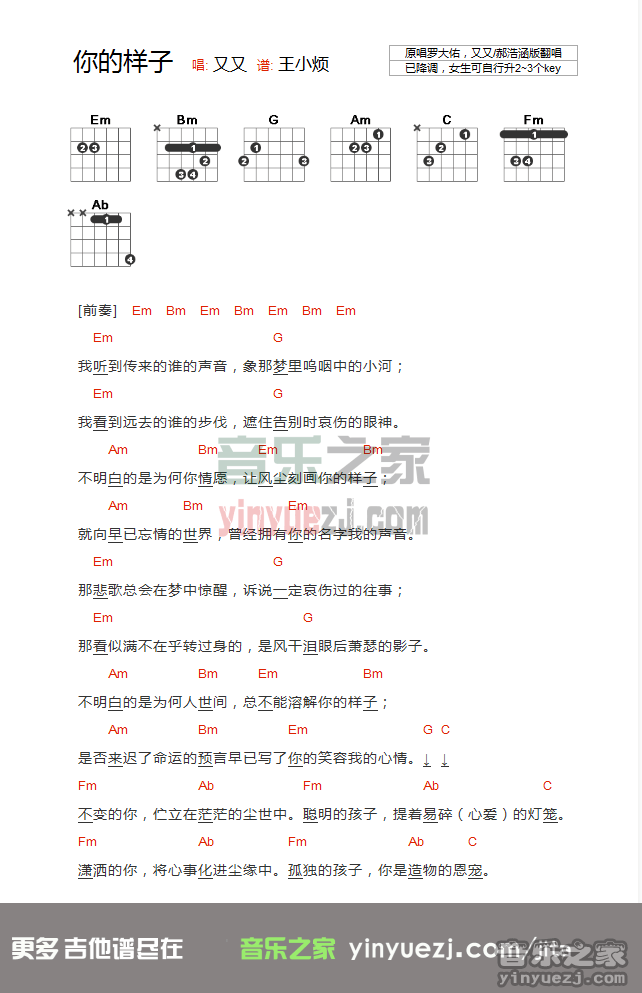 版本二 罗大佑《你的样子》吉他谱