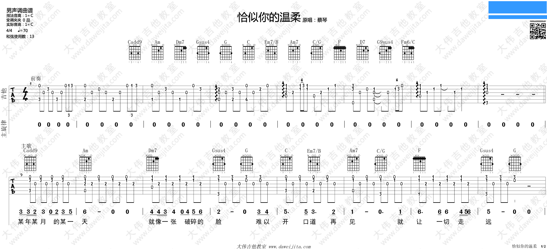 蔡琴《恰似你的温柔(大伟)》吉他谱